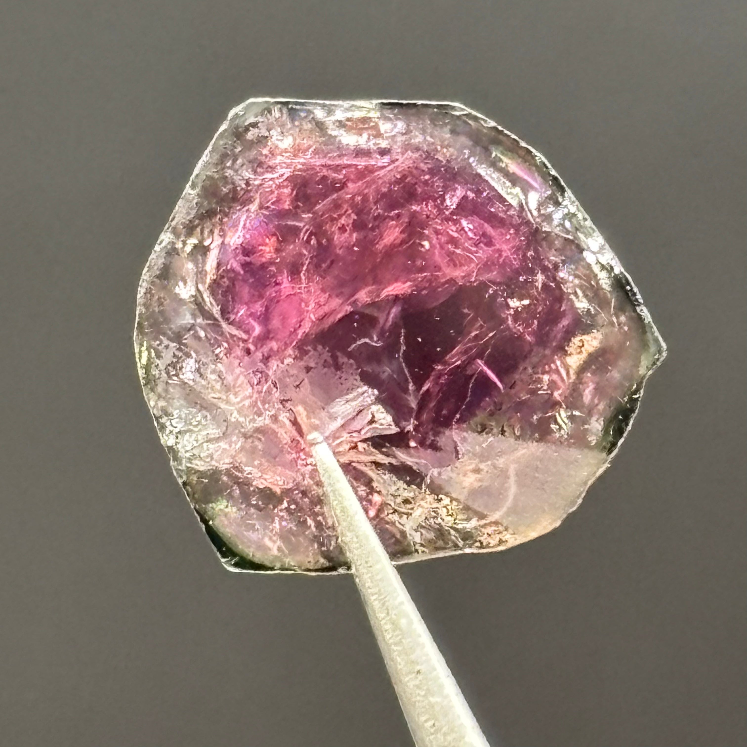 Watermelon Tourmaline Cryoss-Section - 073
