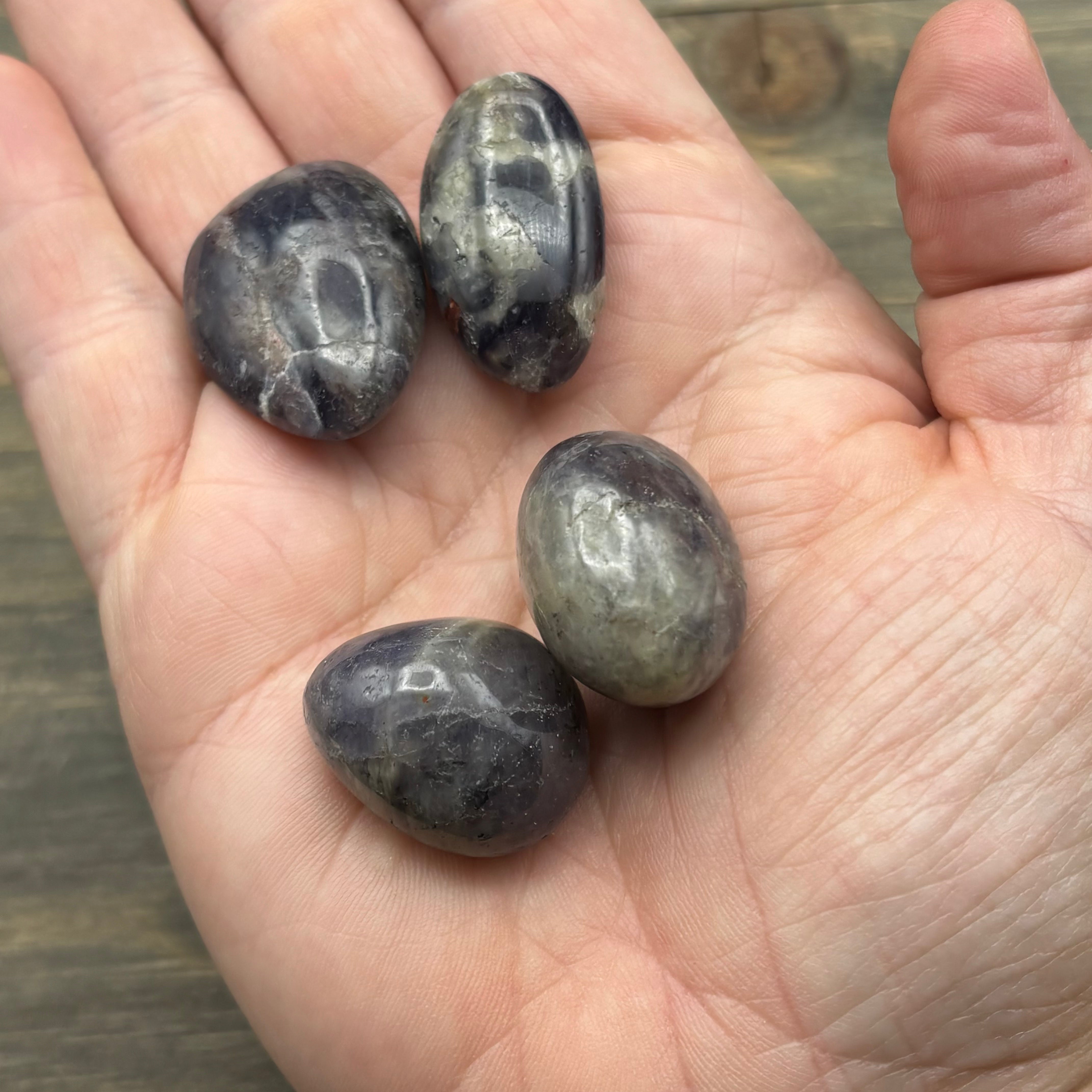 Iolite, Polished - Kit of 2