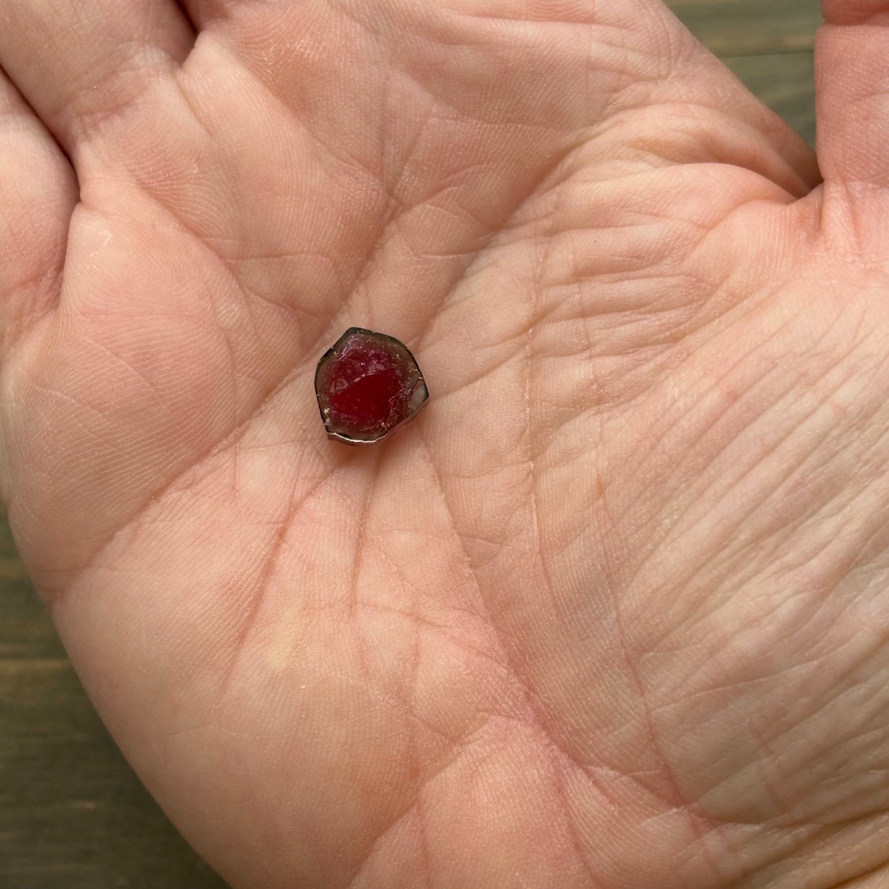 Watermelon Tourmaline Cryoss-Section - 073