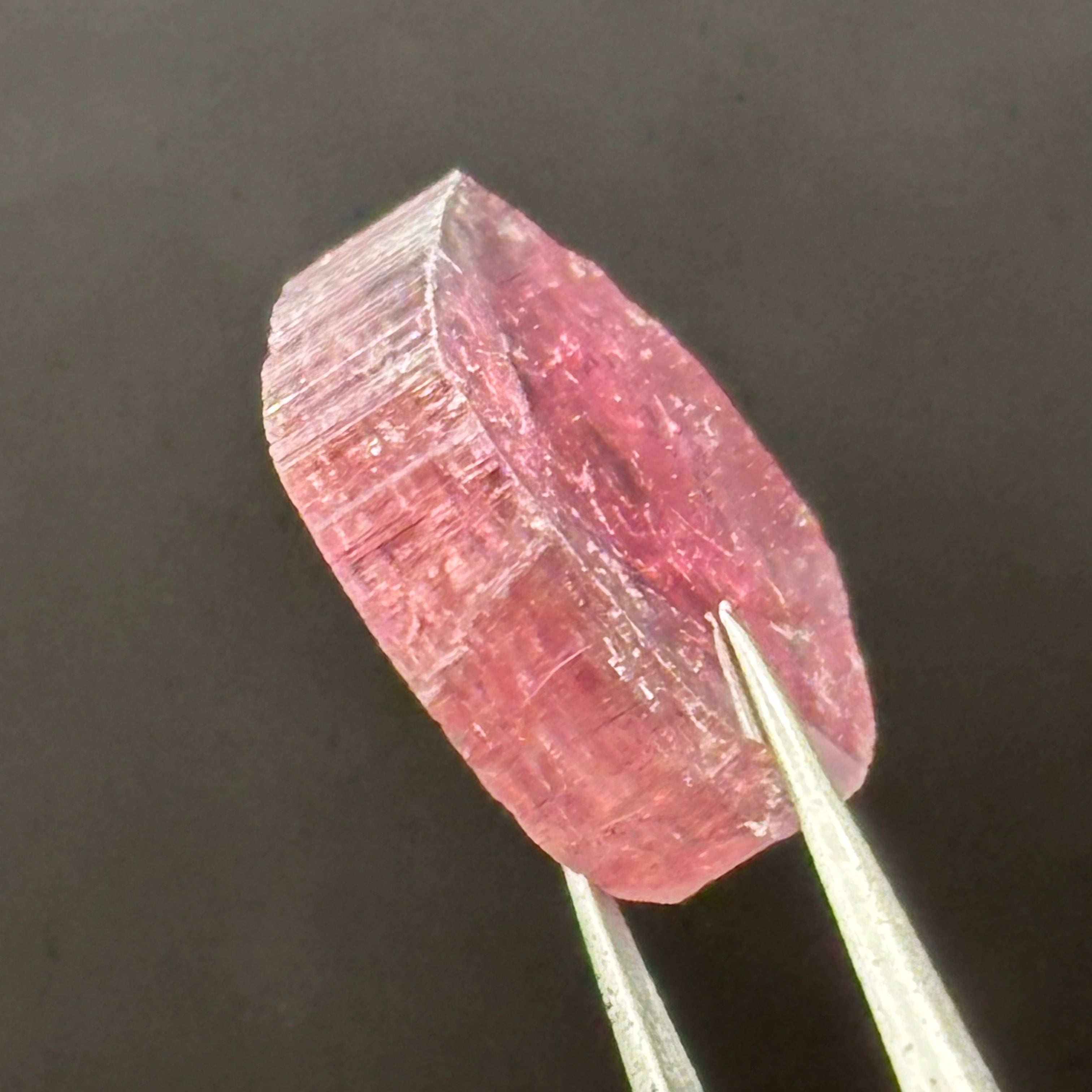 Watermelon Tourmaline Cross-Section - 074