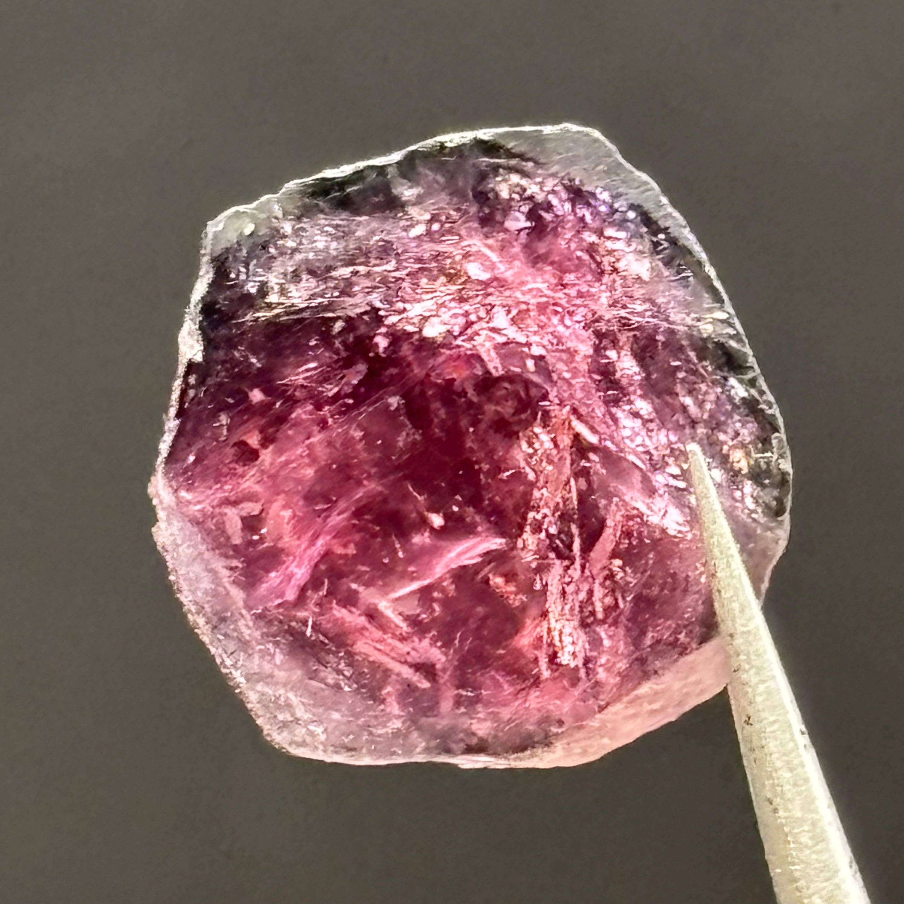 Watermelon Tourmaline Cross-Section - 074