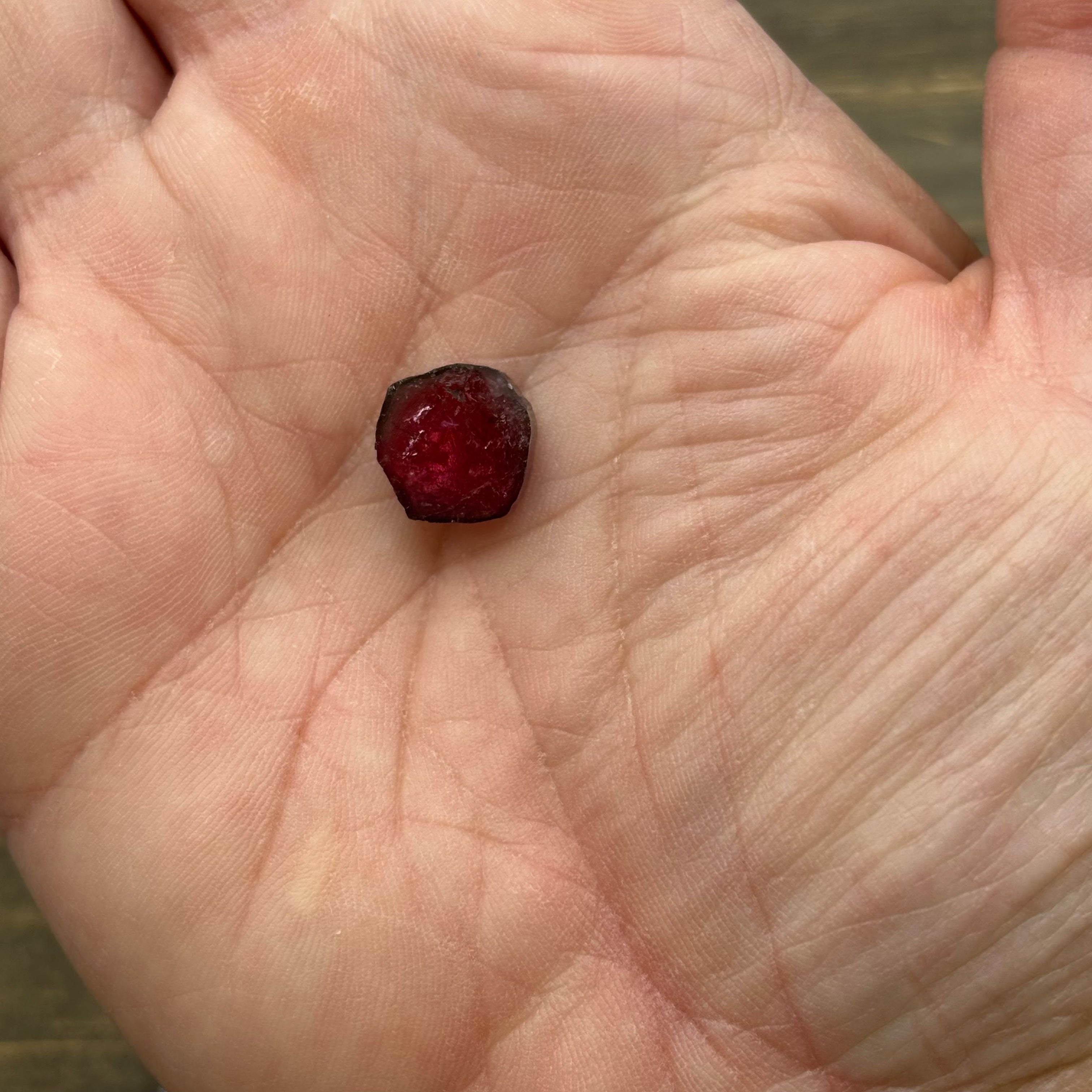 Watermelon Tourmaline Cross-Section - 074