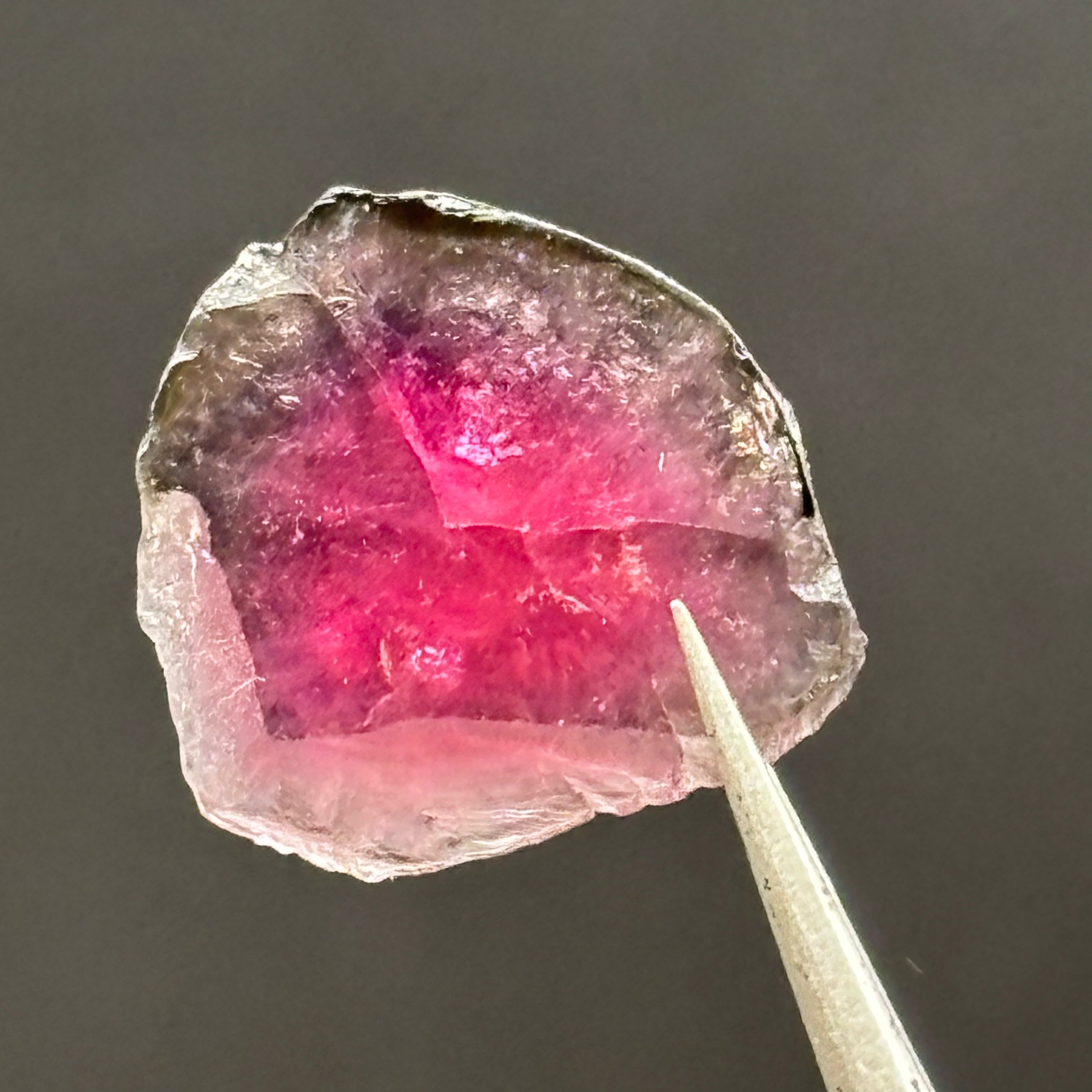 Watermelon Tourmaline Cross-Section - 075