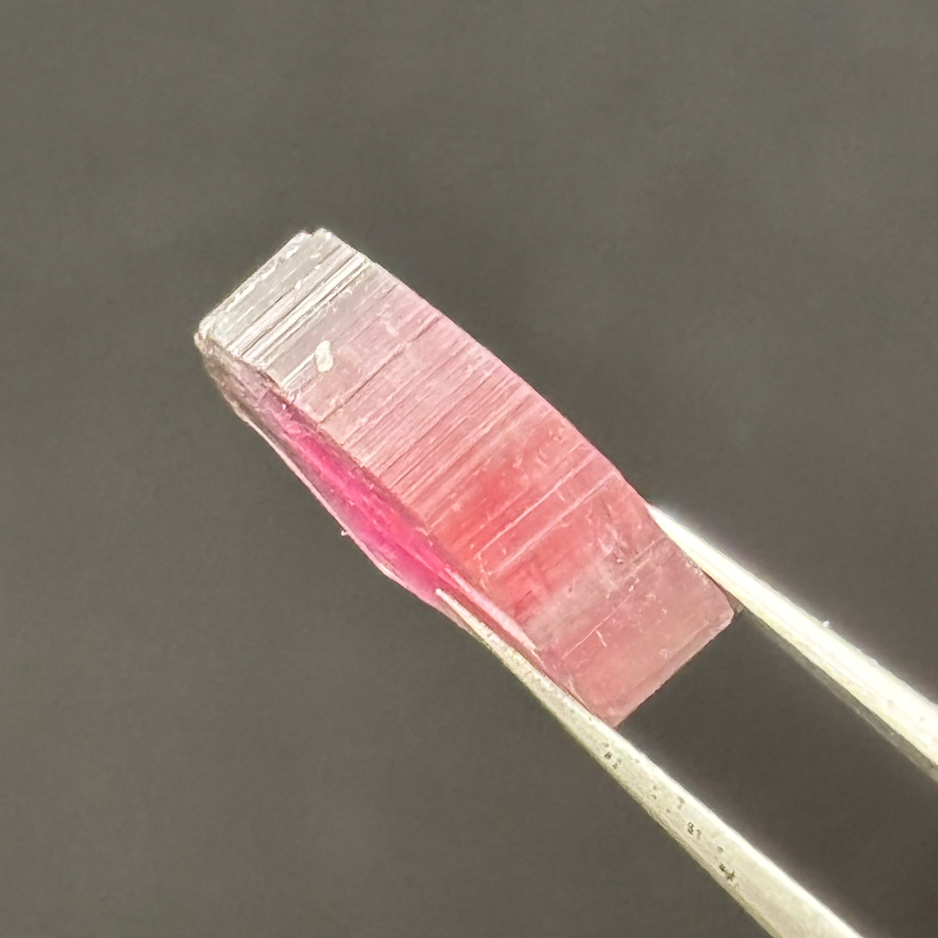 Watermelon Tourmaline Cross-Section - 075