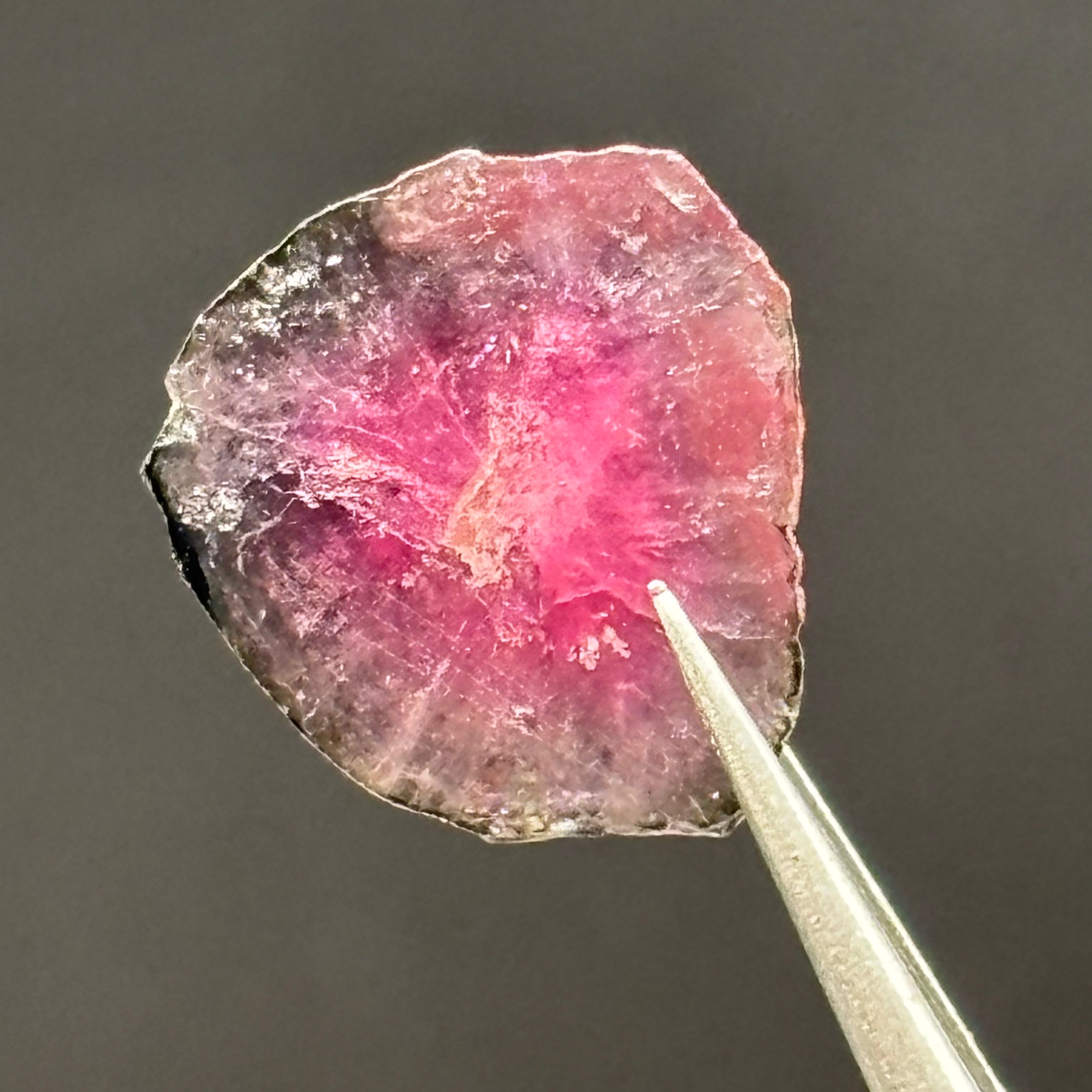Watermelon Tourmaline Cross-Section - 075
