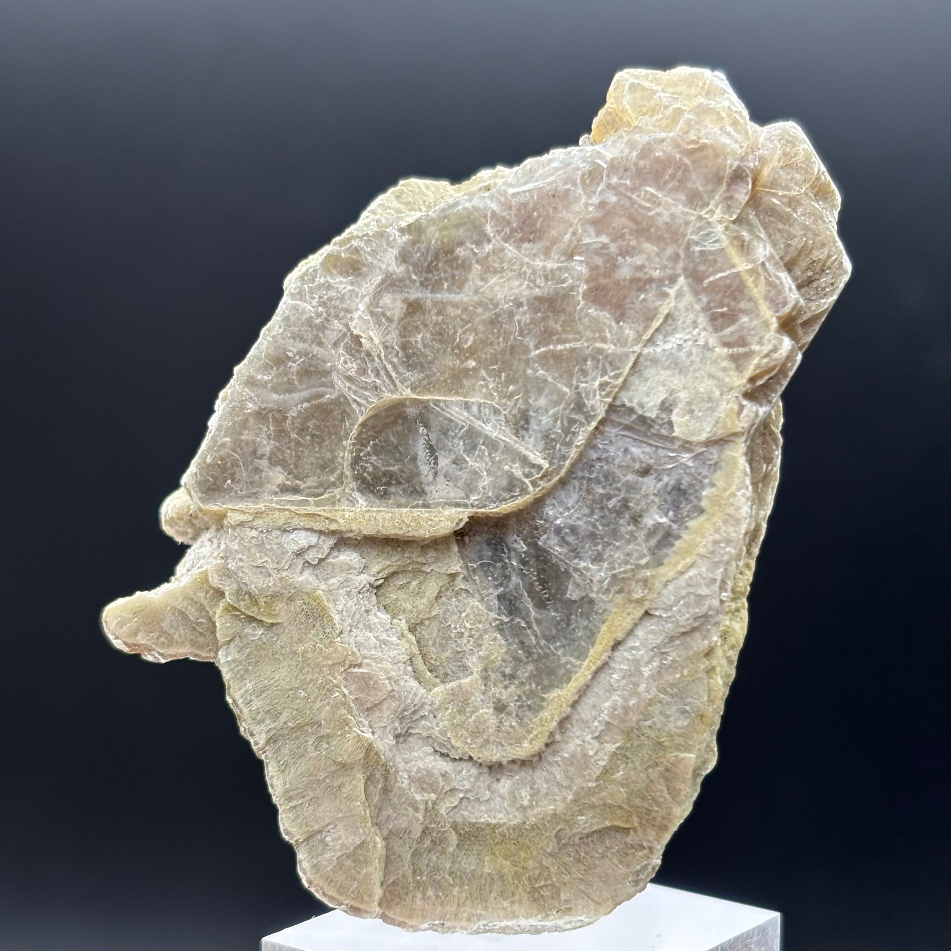 Green Gold Mica - 051