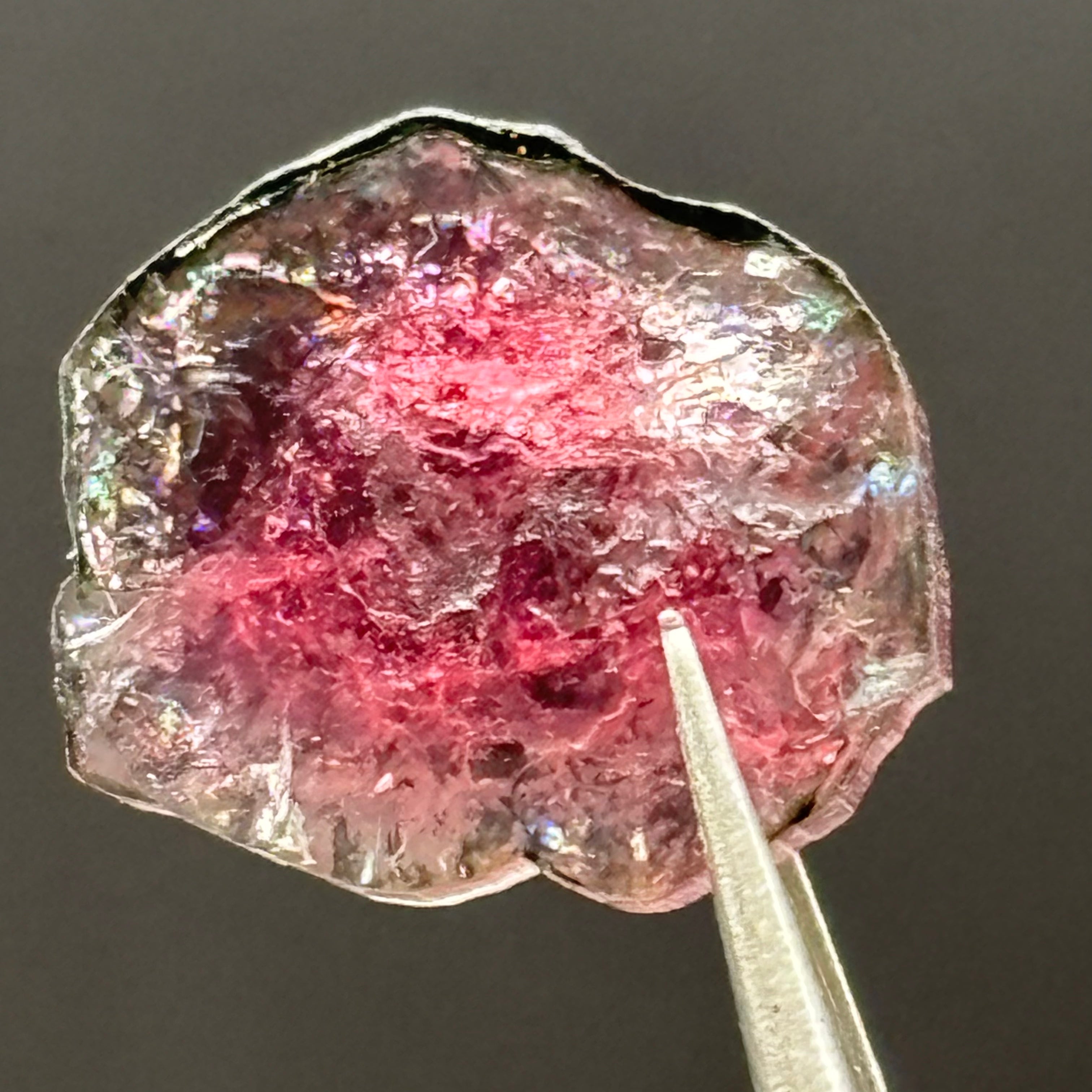 Watermelon Tourmaline Cross-Section - 076