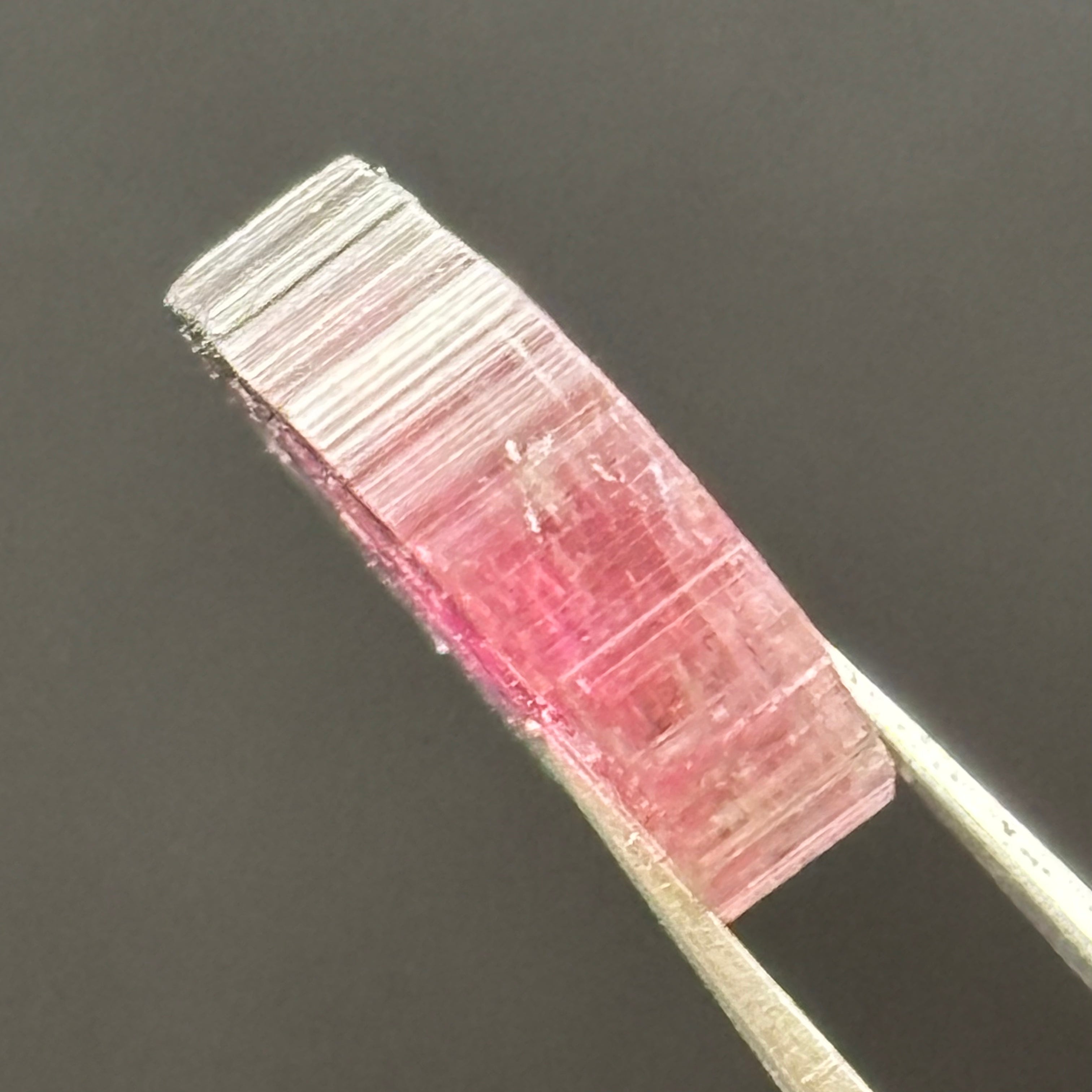 Watermelon Tourmaline Cross-Section - 076