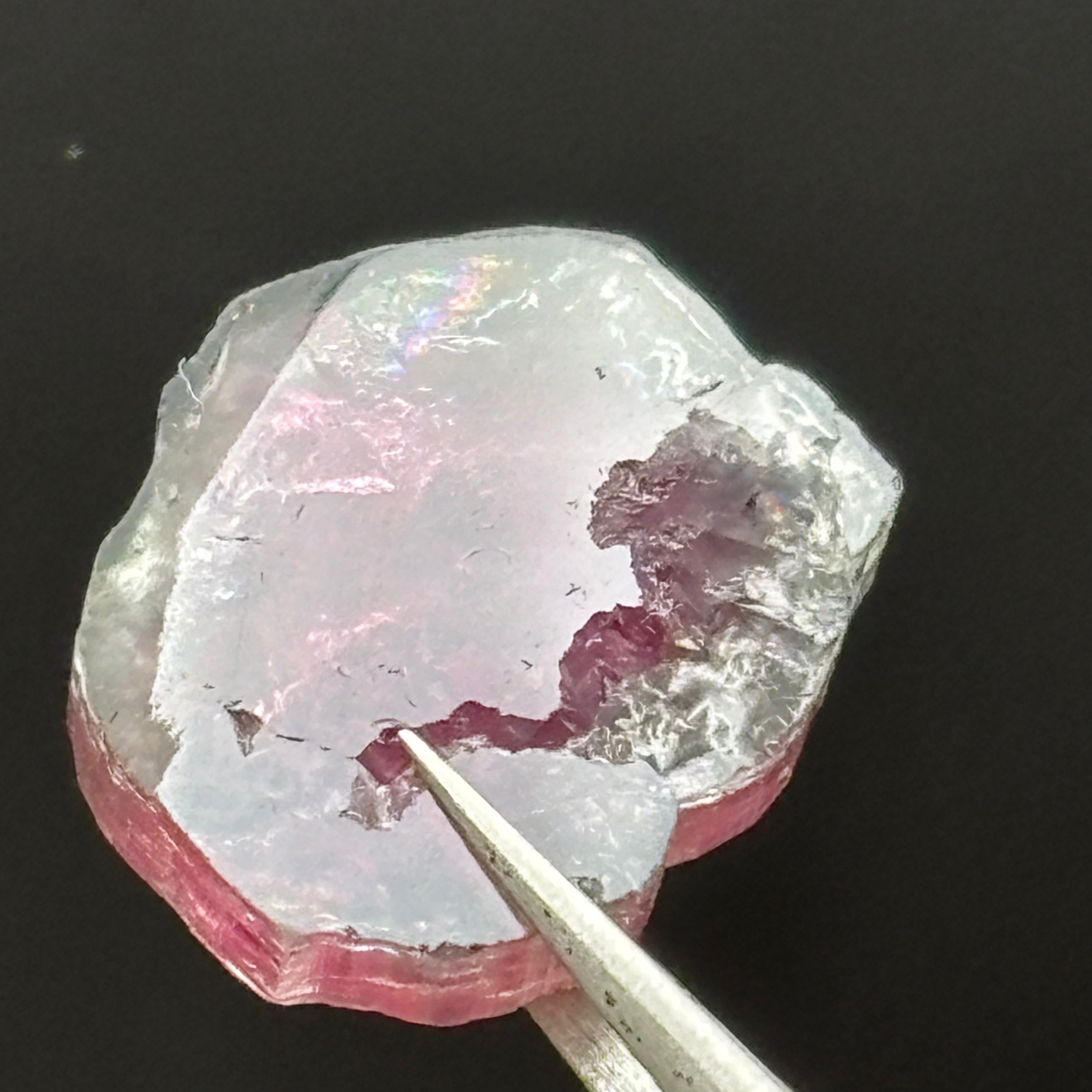 Watermelon Tourmaline Cross-Section - 076