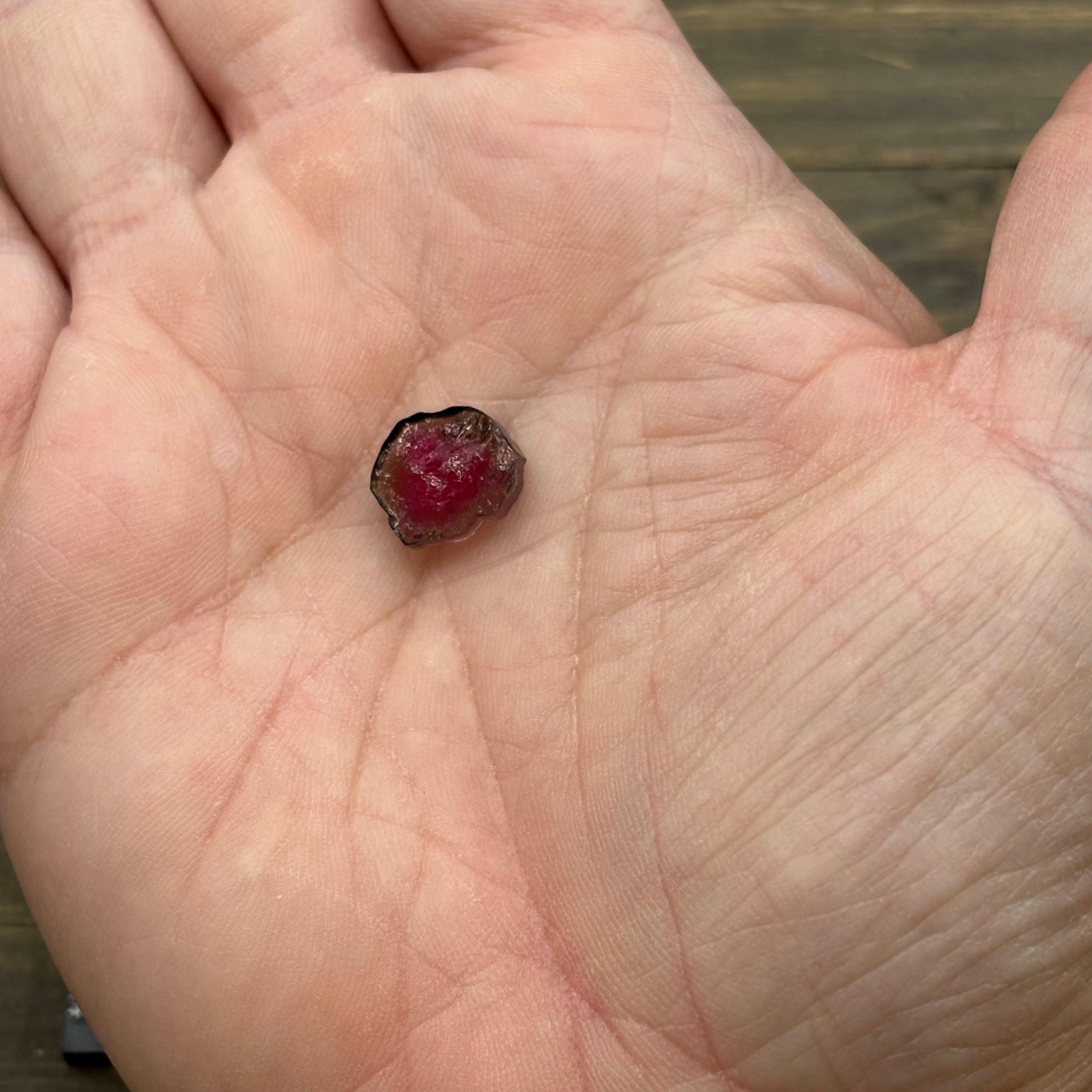Watermelon Tourmaline Cross-Section - 076