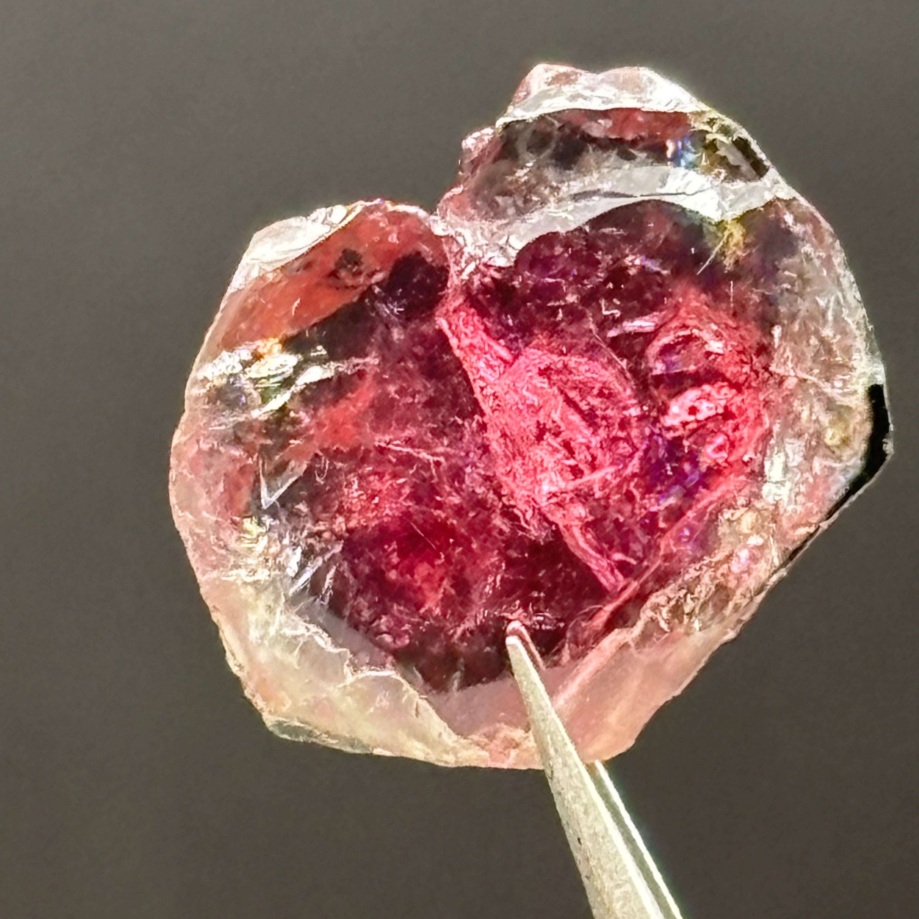 Watermelon Tourmaline Cross-Section - 077