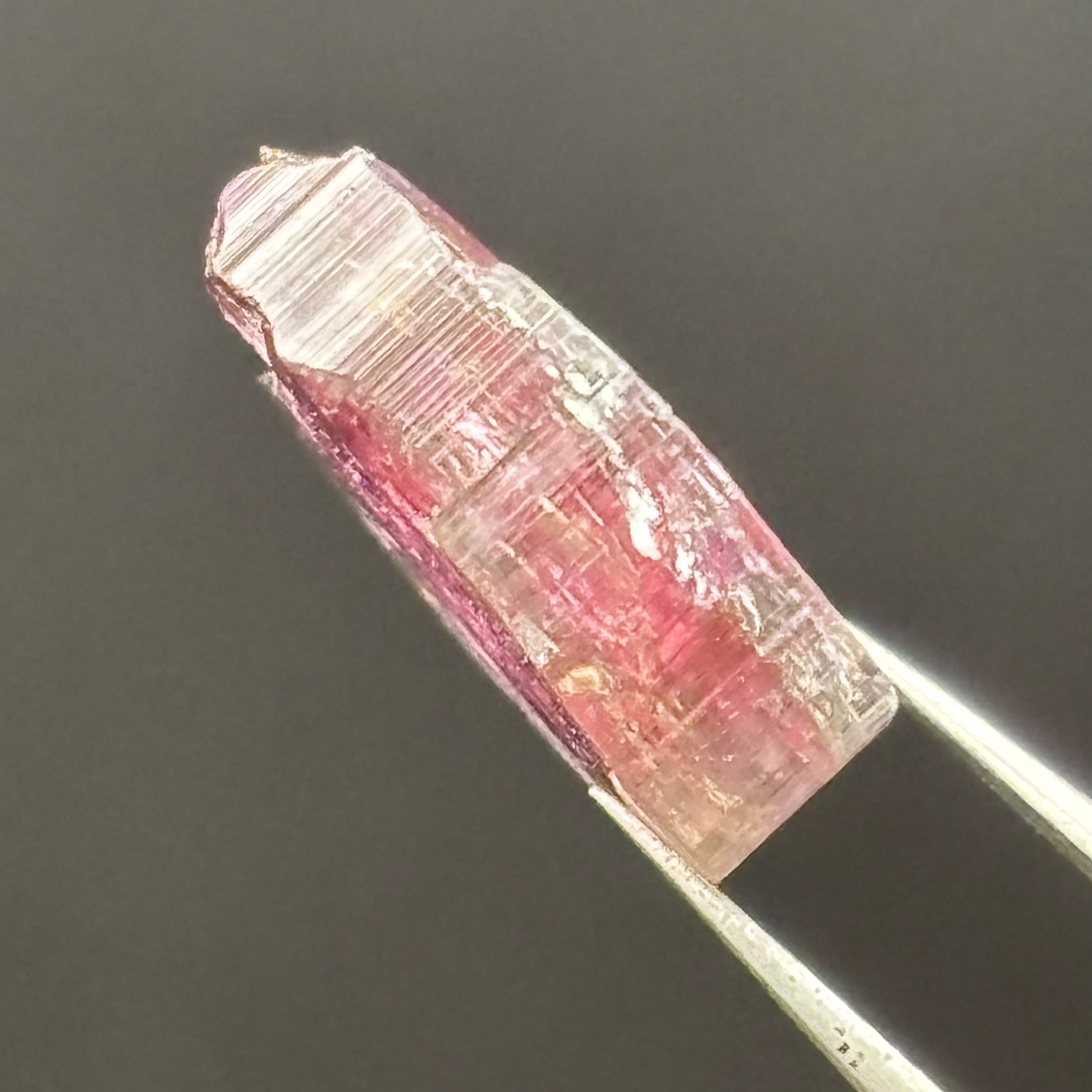 Watermelon Tourmaline Cross-Section - 077