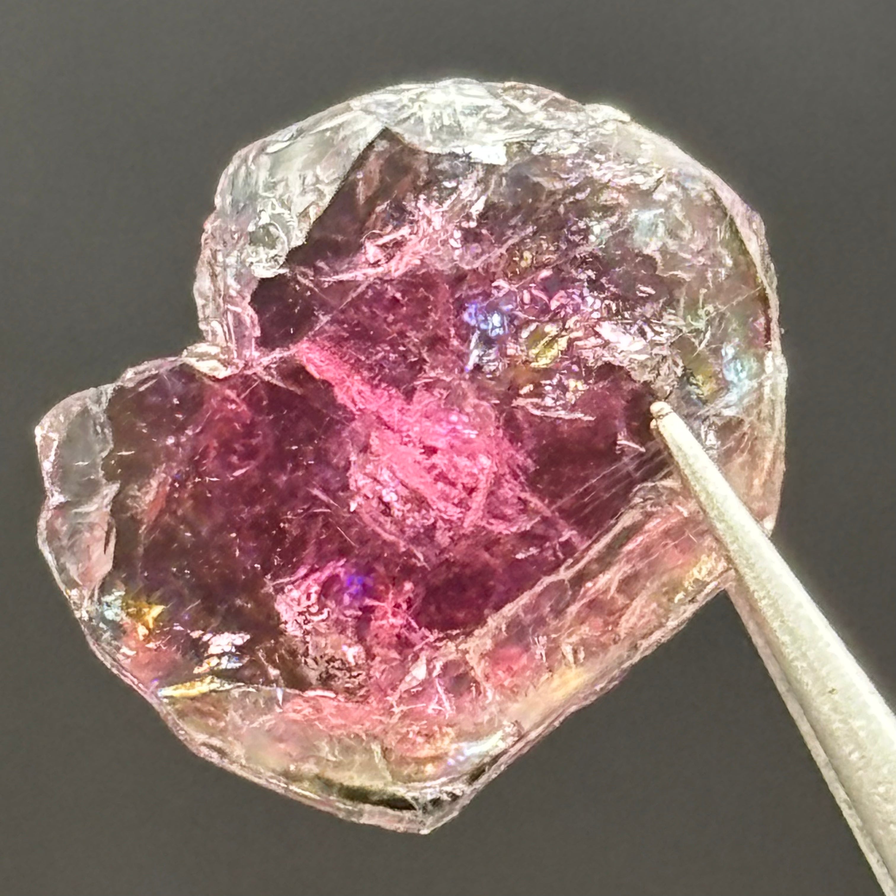 Watermelon Tourmaline Cross-Section - 077