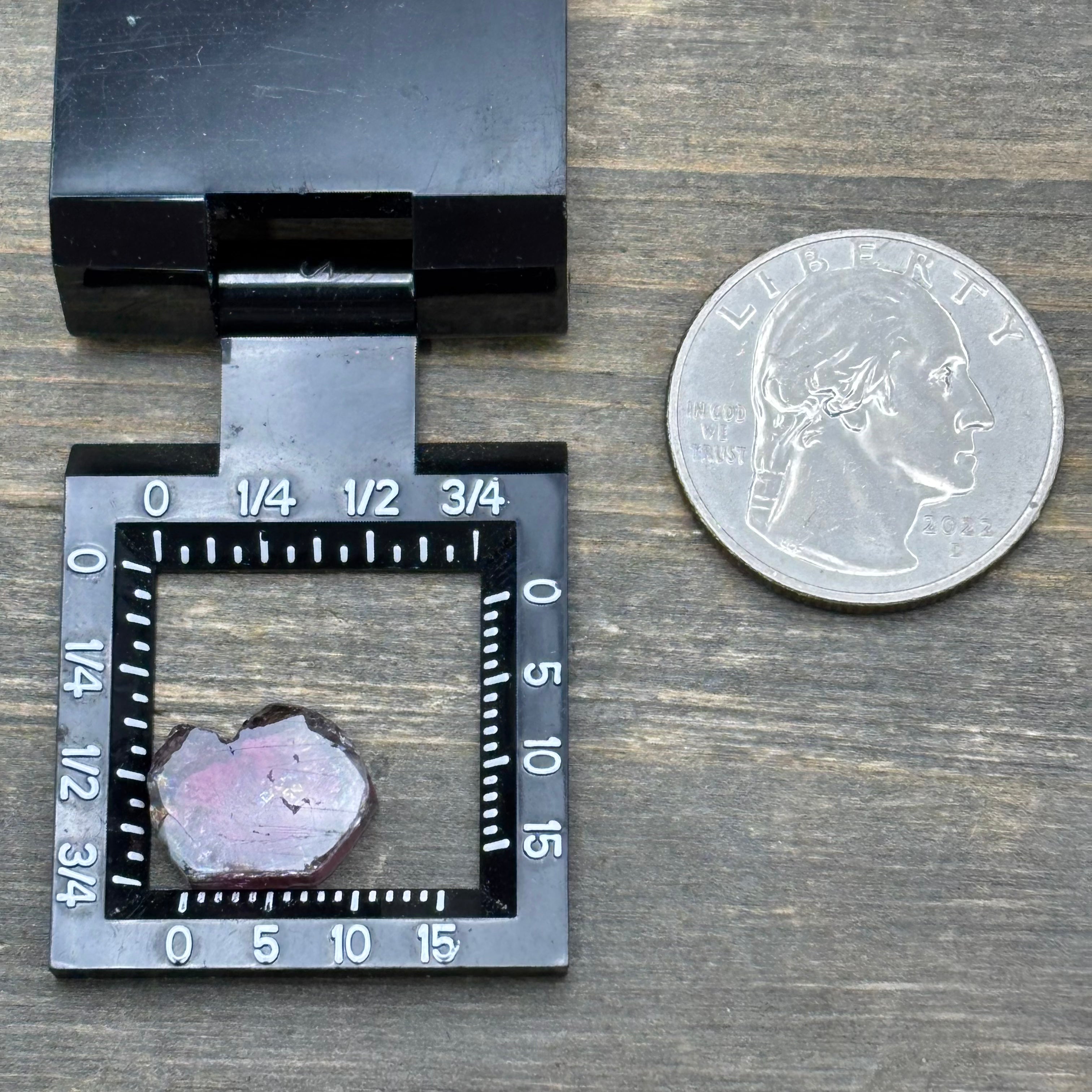 Watermelon Tourmaline Cross-Section - 077