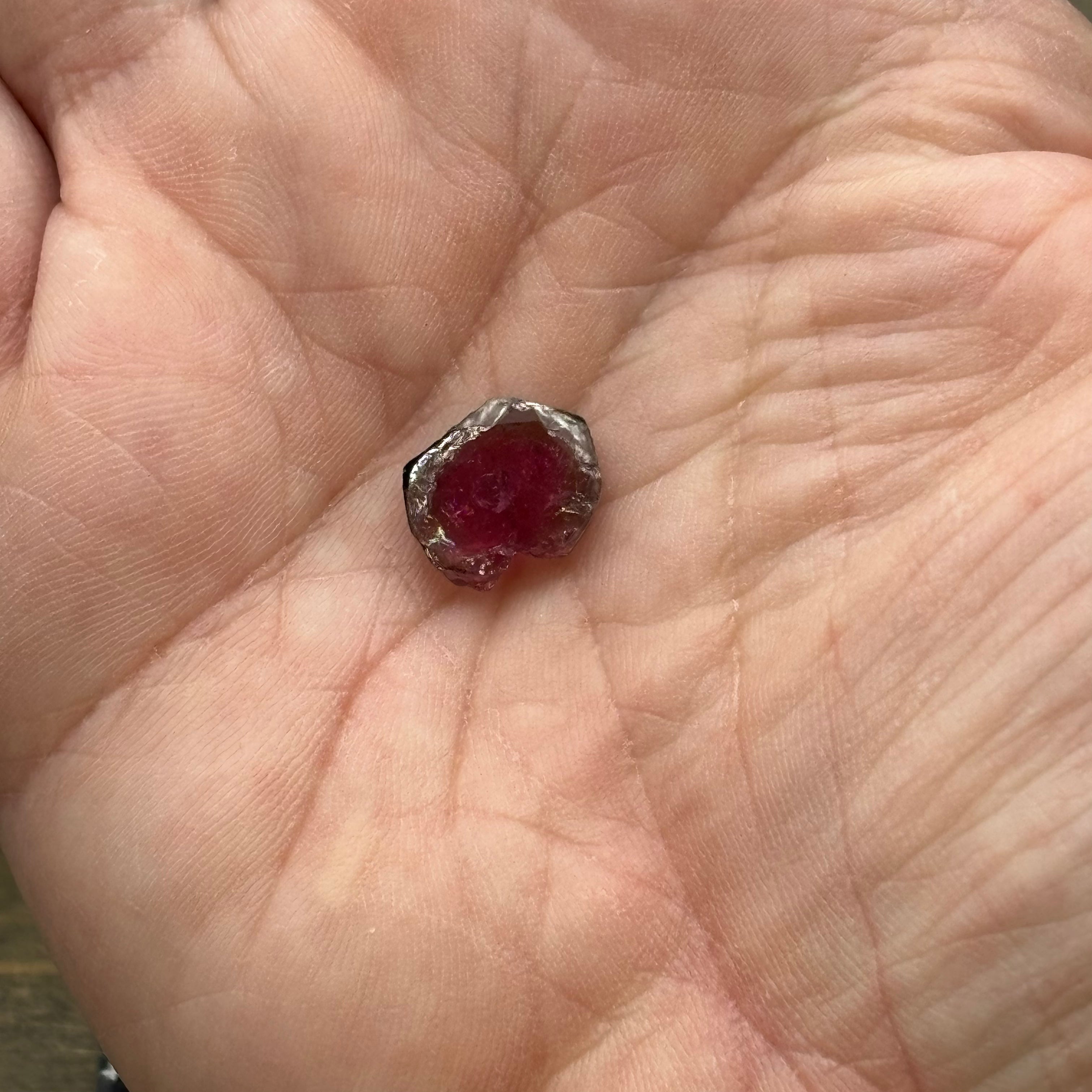 Watermelon Tourmaline Cross-Section - 077