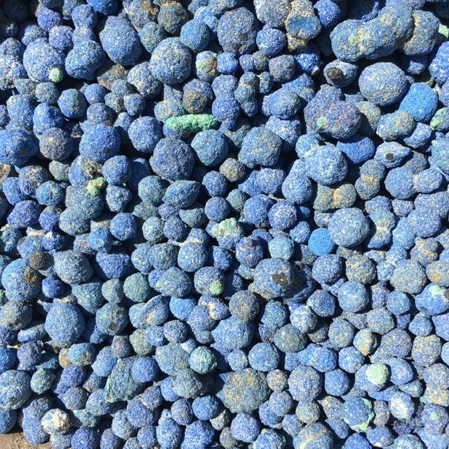 Azurite Blueberries, Kit of 11