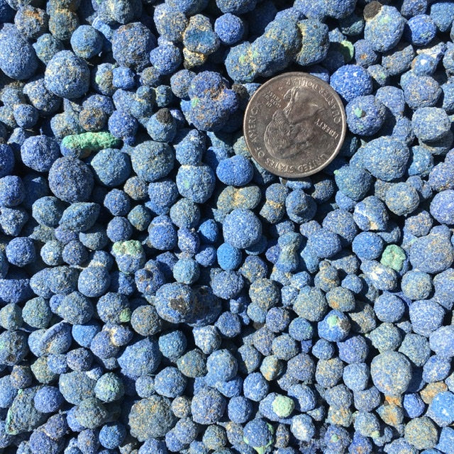 Azurite Blueberries, Kit of 11