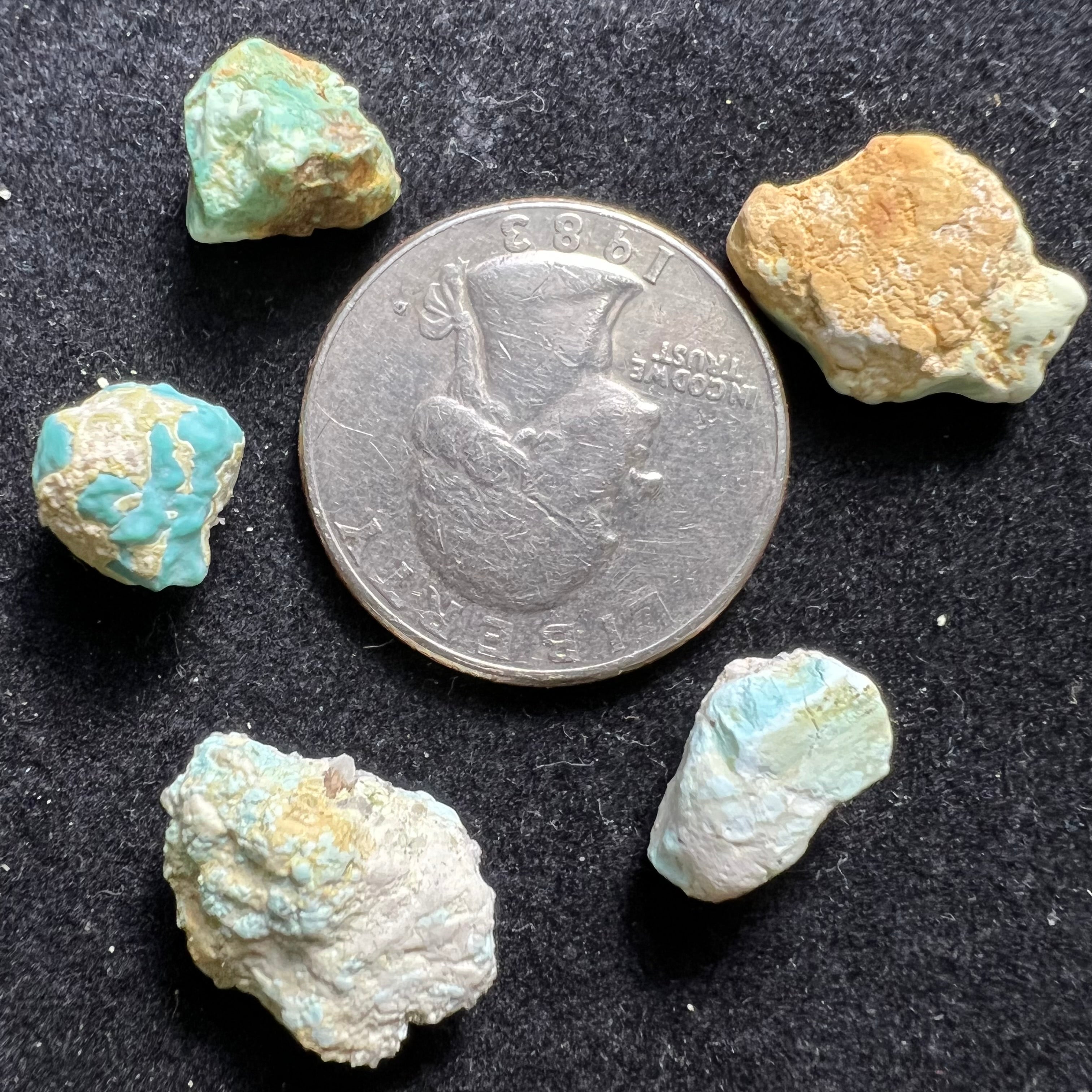 Turquoise, Kit of 5