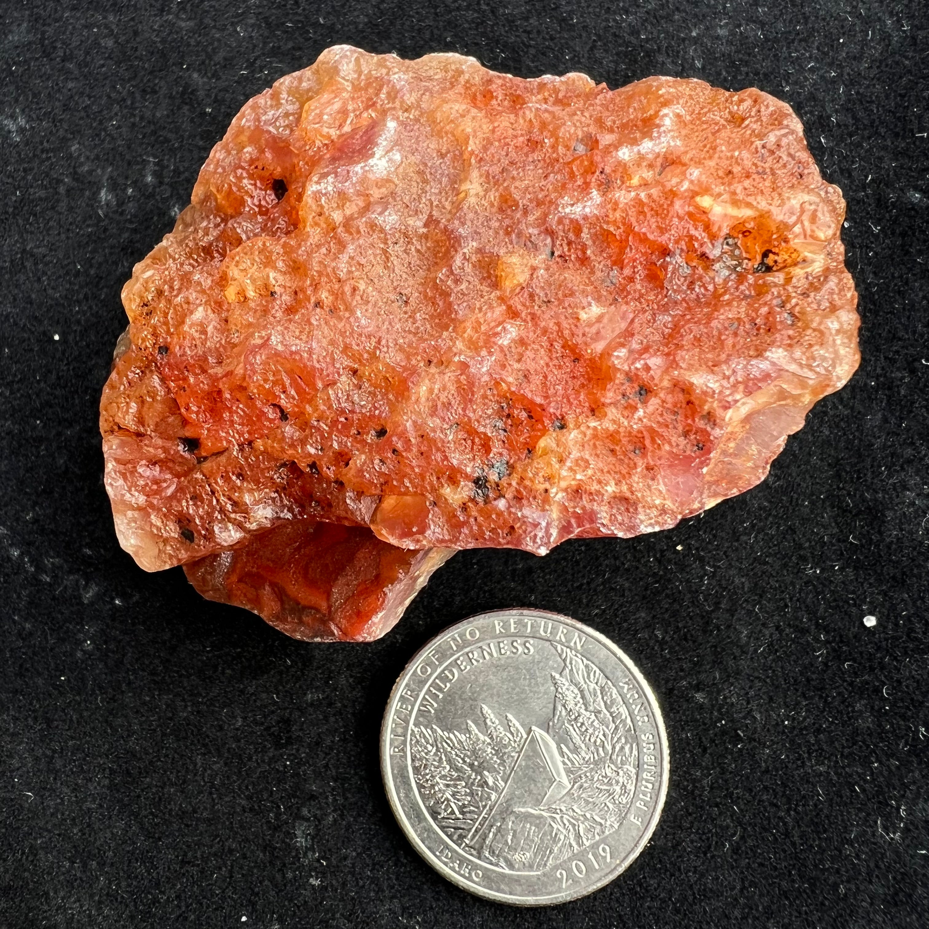 Rare Red Carnelian - 092